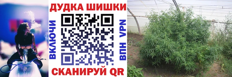 Купить где  Белая Холуница  Бошки Шишки MAZAR 